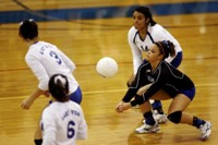 Volleyball Libero